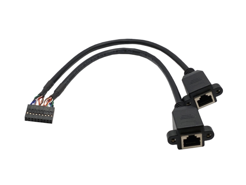 PHD2.0 2×9 Pin to 2x RJ45 8P8C Jack Cable