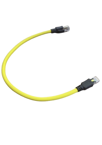 RJ45 8P8C to RJ45 8P8C with Iron connector