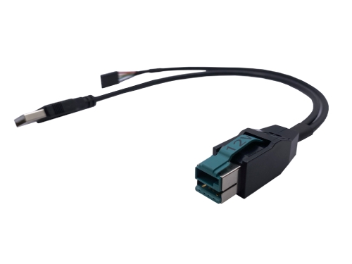 Powered USB 12V to USB AM to DP2.54 4 Pin